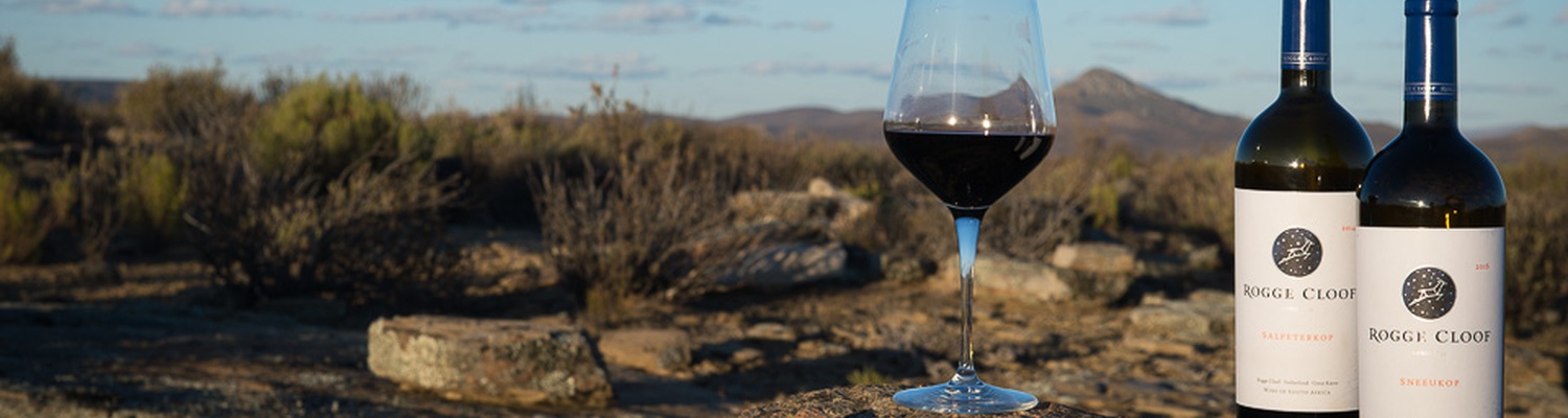 Highest and coldest vineyard South Africa; Sutherland Wines; Karoo Wines; 